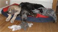 2010 014.JPG