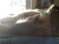 2010 021.JPG
