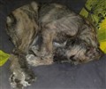 2011 001.jpg