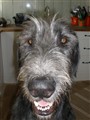 april -10 007.JPG