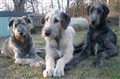 april -10 016.JPG