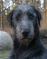 april -10 017.JPG
