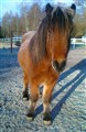 dec 1 004.jpg