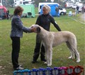 edvin inoff älmhult 017.JPG