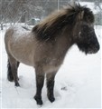 snöööö 023.JPG