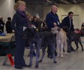 utställning malmö 2010 012.JPG